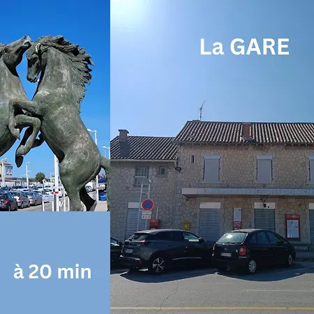 Villa Maison Du Bonheur , De Detente , Confort Piscine, Billard,en Pleine Camargue Le Grau-du-Roi