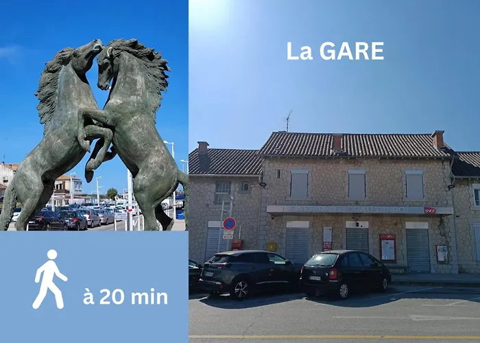 Willa La Maison Du Bonheur, Piscine, Jacuzzi, Billard Le Grau-du-Roi