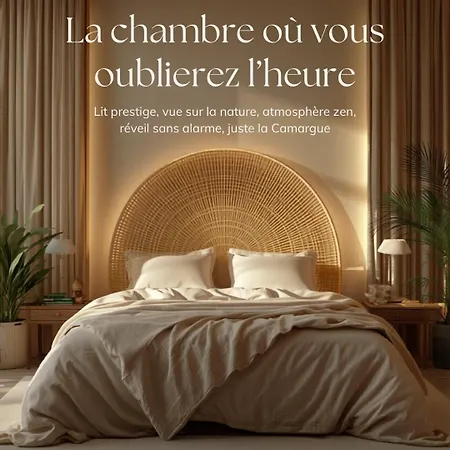 Maison Du Bonheur , De Detente , Confort Piscine, Billard,en Pleine Camargue וילה